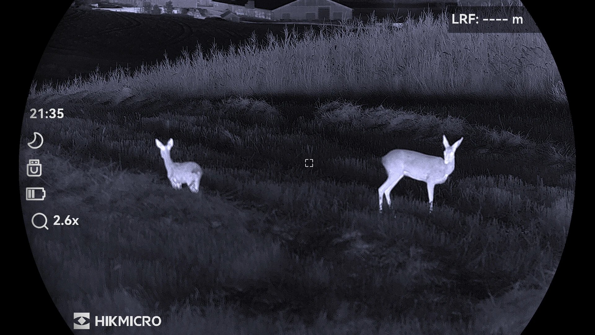 Rehe mit Hikmicro beobachten