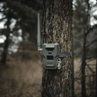 Spypoint Wildkamera Flex-M2